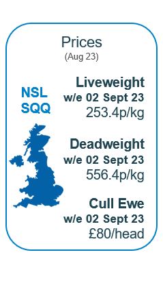 infographic showing gb lamb prices